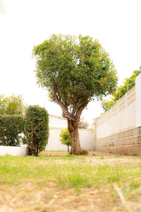 فيلا Casa Voramar En Denia A 300M De La Playa المظهر الخارجي الصورة